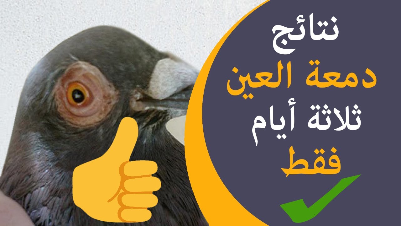 نتائج علاج دمعة العين