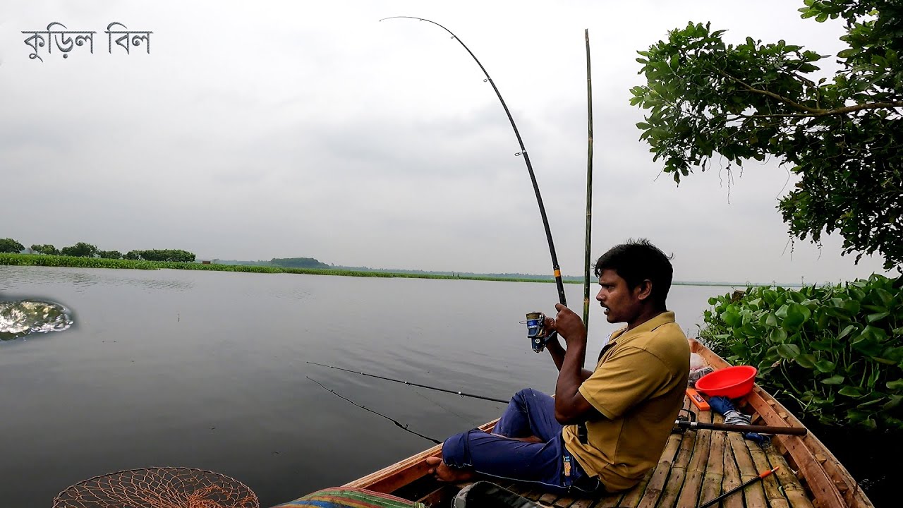 বছরের শুরুতেই কুড়িল বিলে মাছের মাথা নষ্ট করা টান | Fishing in Kuril Beel