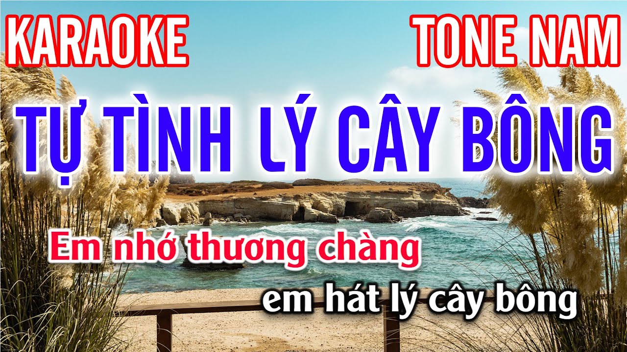 Tự Tình Lý Cây Bông Karaoke | Cha Cha Tone Nam nhạc sống| Tuyết Nhi Karaoke