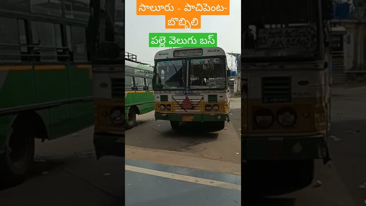 Apsrtc salur to bobbili via pachipenta pallevelugu bus#short