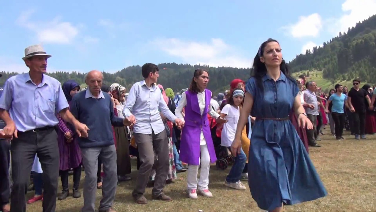 Hendek Çiğdem Yaylası 2017