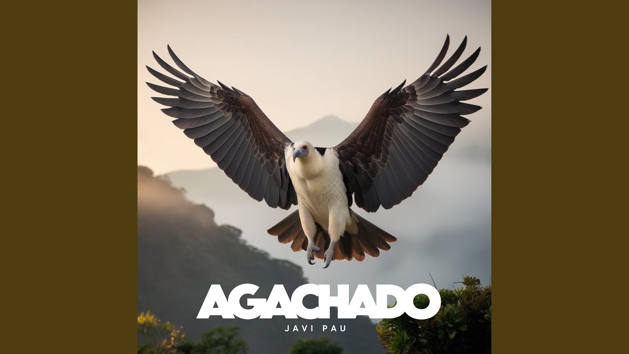 Agachado