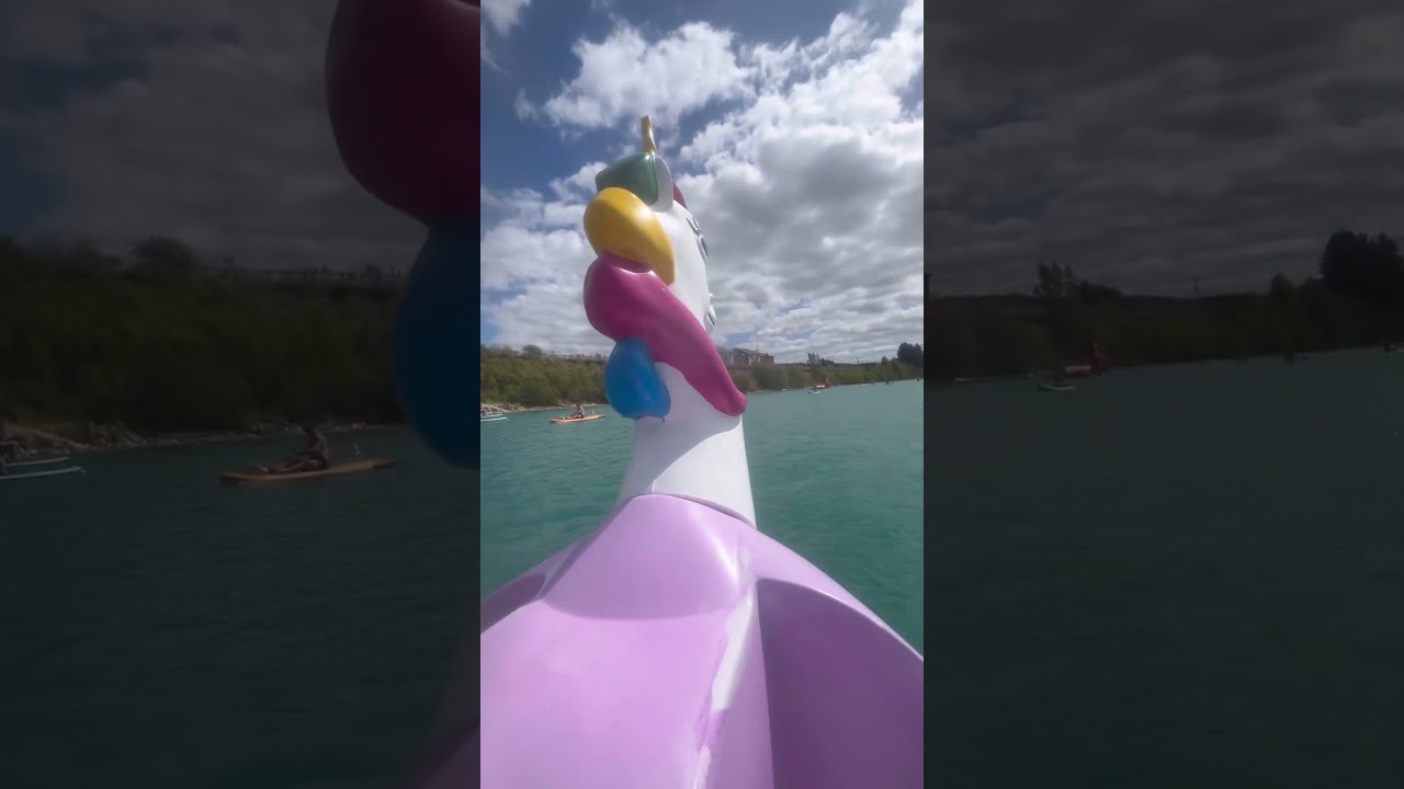 St Andrews Lake #standrewslake #kent #pedalo #watersports #familytime