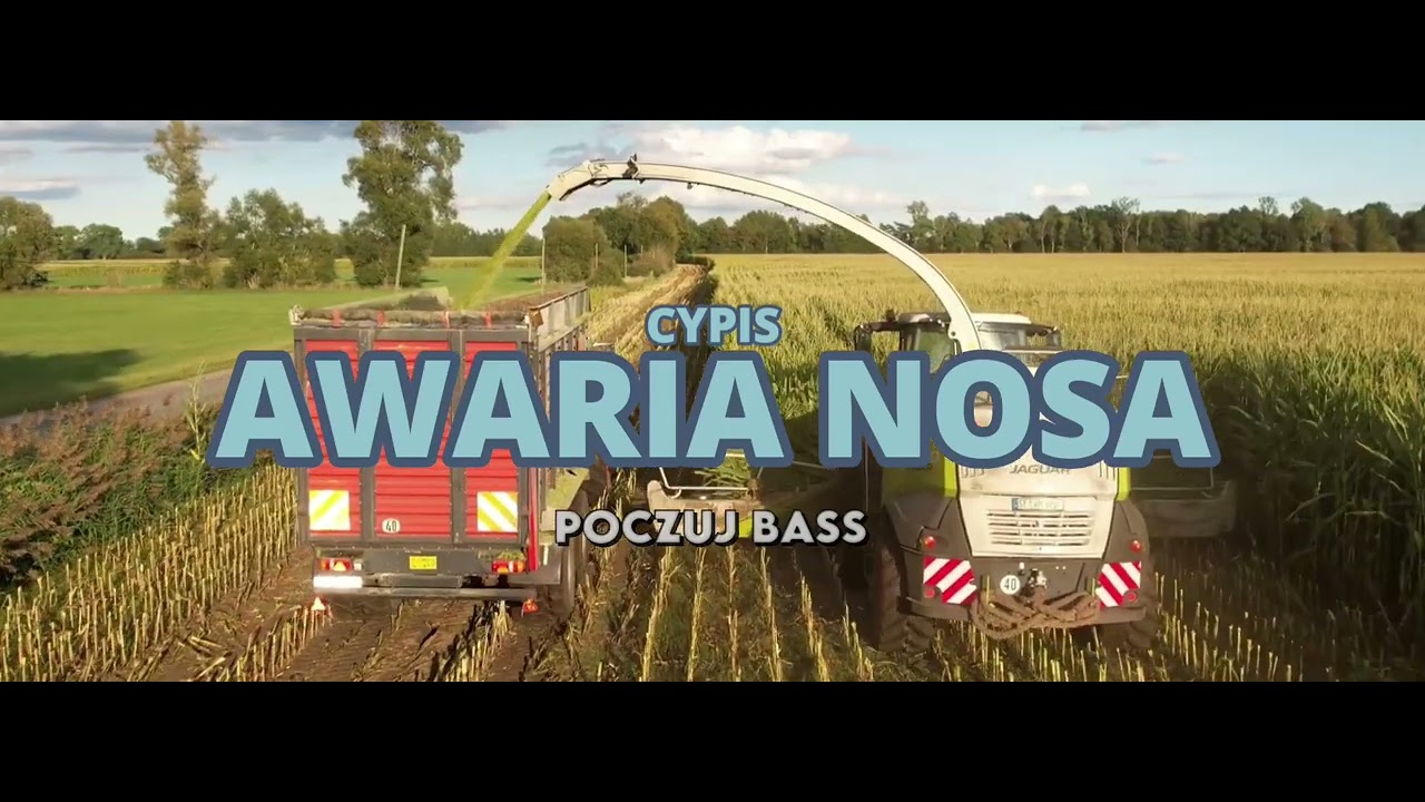 Cypis - Awaria nosa (poczuj bass)