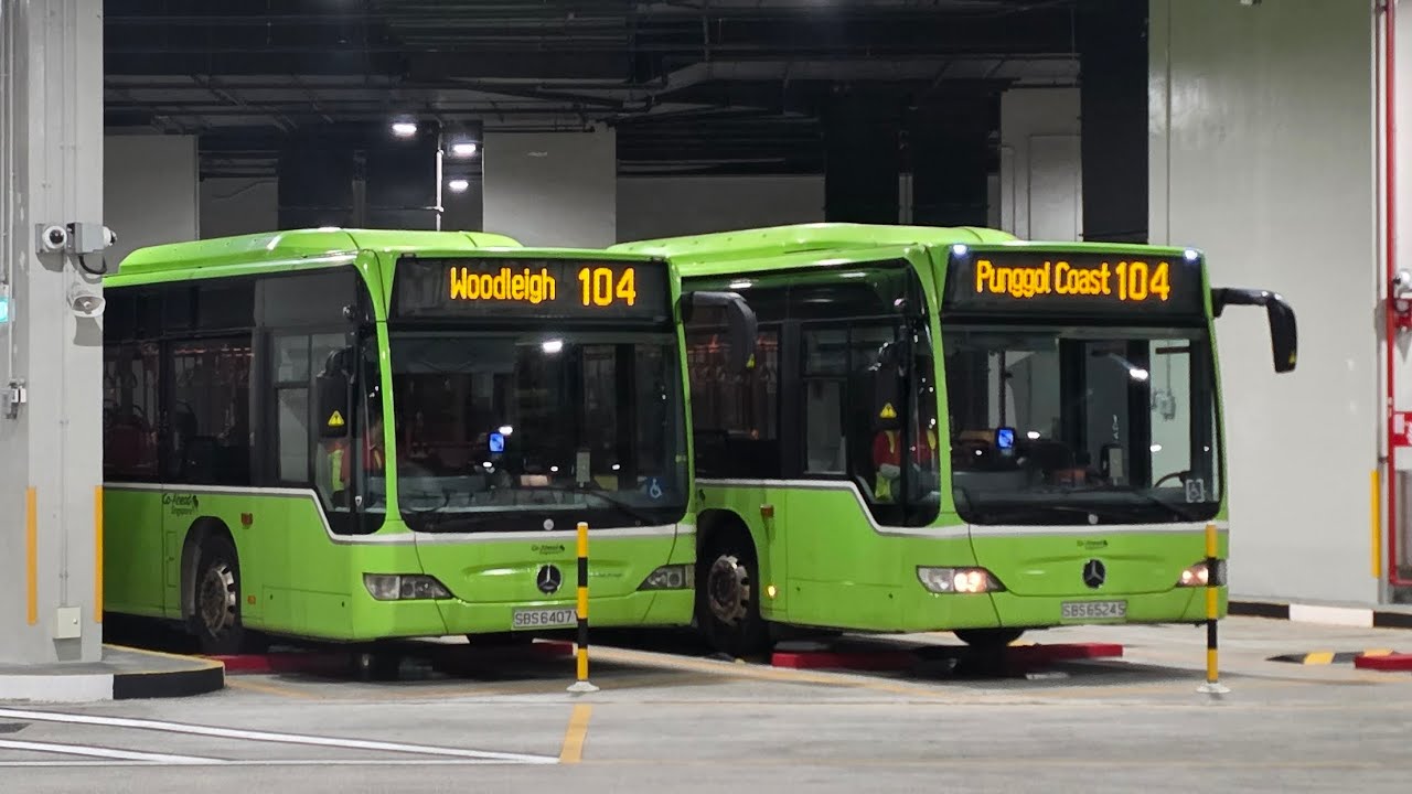 Bus Rides: Svc 104 [SBS6524S] Woodleigh Int → Punggol Coast Int