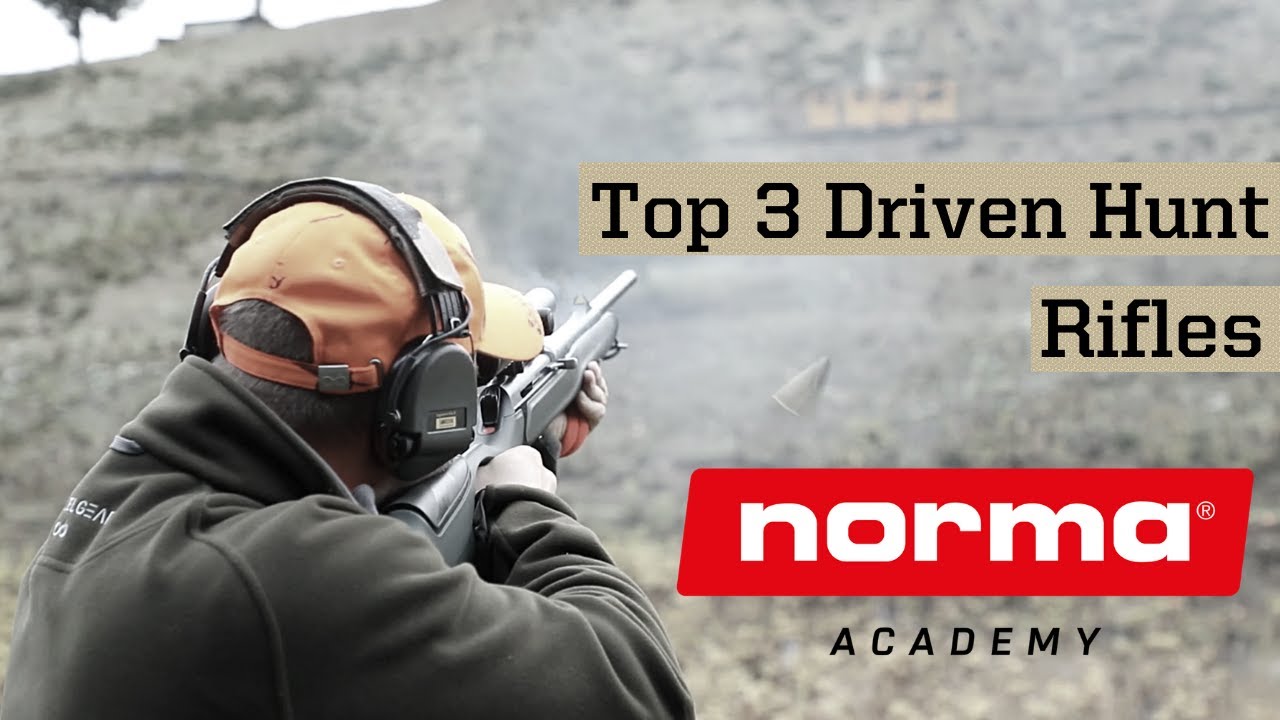 Top 3 Driven Hunt Rifles | Norma Academy