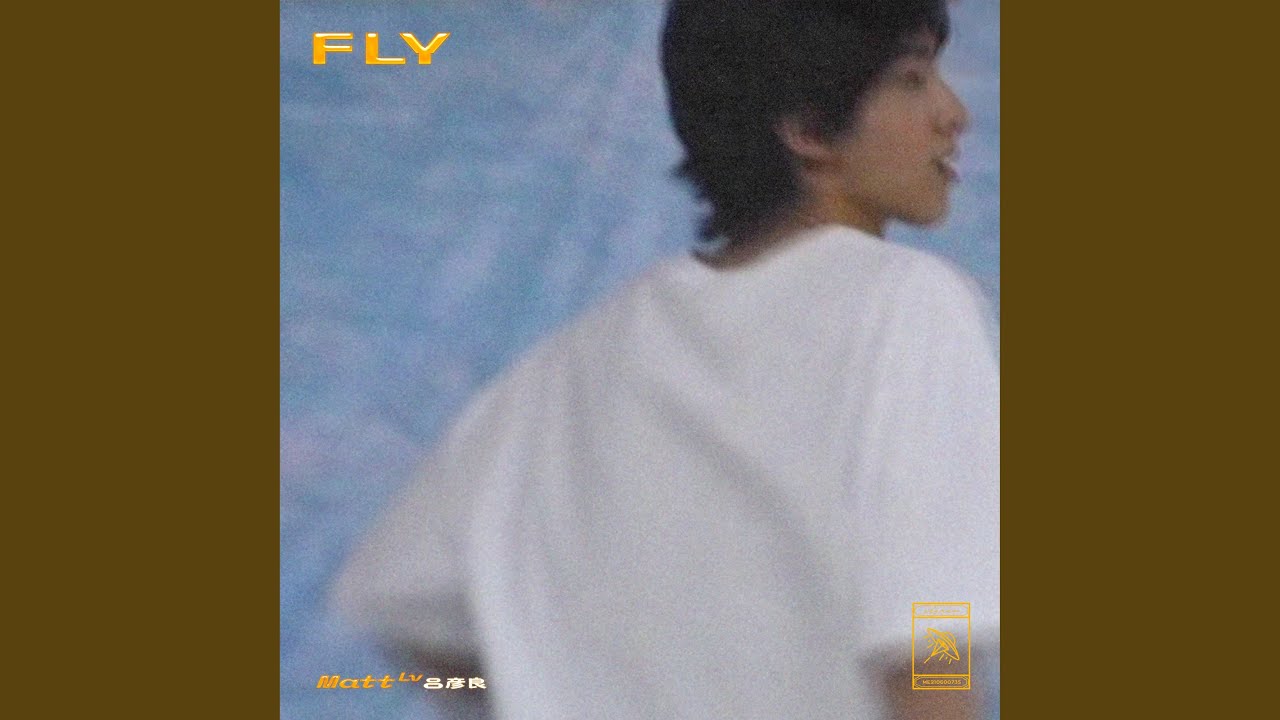 Fly