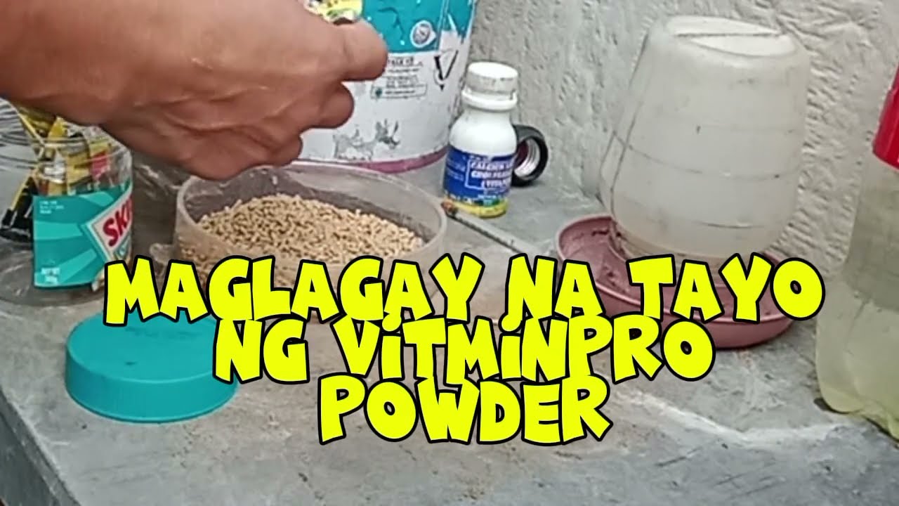Tamang pagtimpla Ng pagkain Ng ating alaga