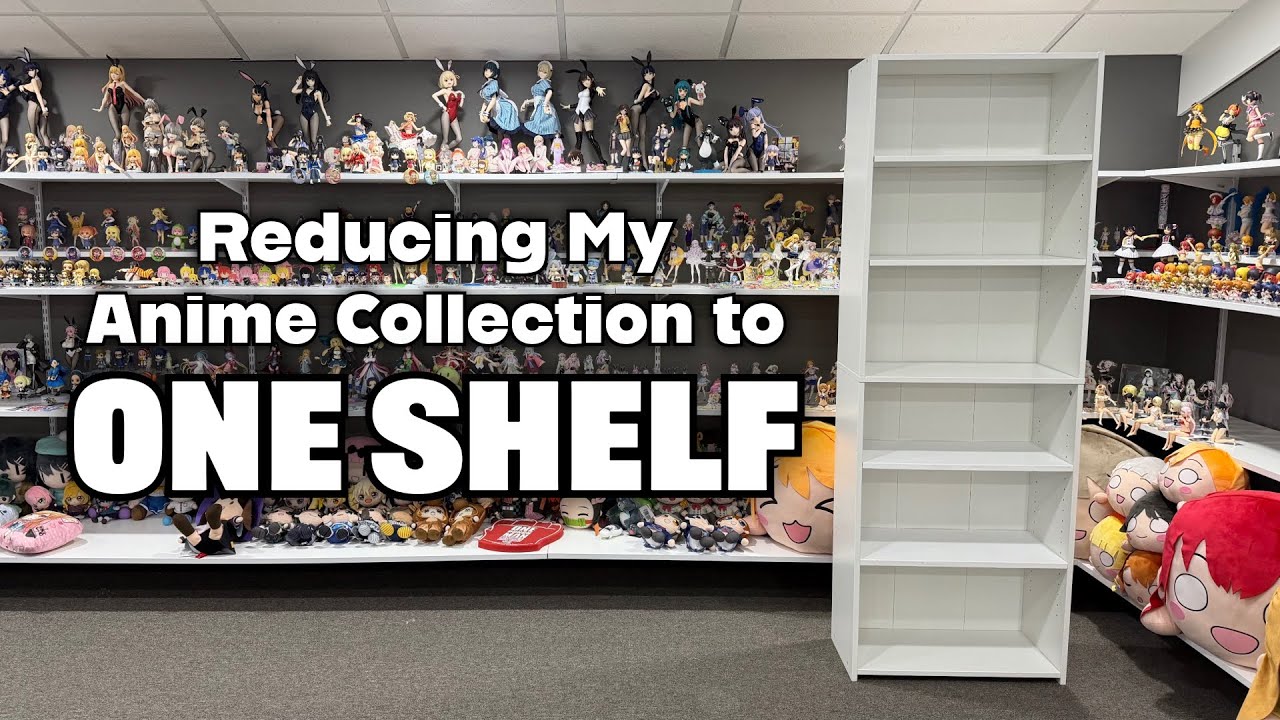 Can I Fit My Anime Room on ONE Shelf?