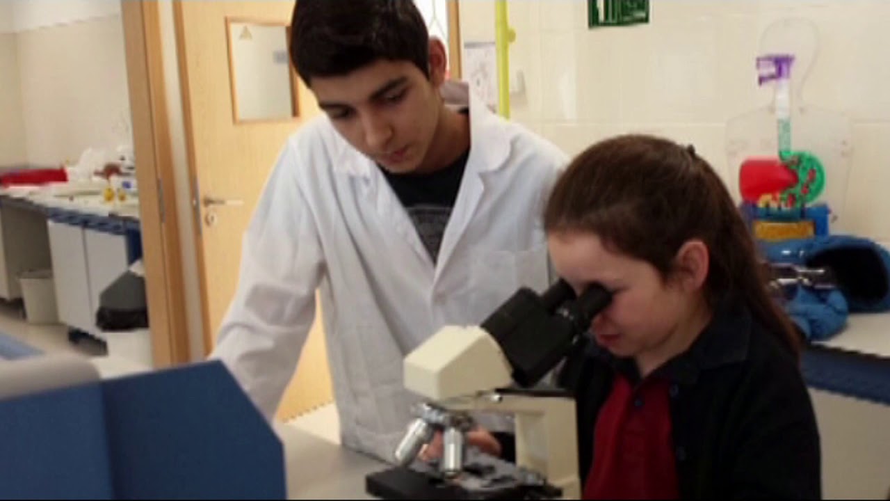 Escola Internacional Torres Vedras 15 Anos 2020