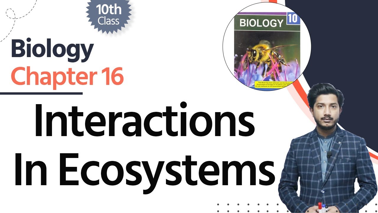 Biology Class 10 Chapter 16 - Class 10 Biology Chapter 16 - Interactions In Ecosystems