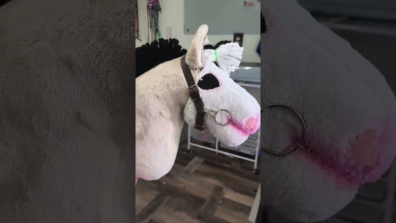making a bridle 💕 #hobbyhorse #hobbyhorsing #hobbyhorsecomunity
