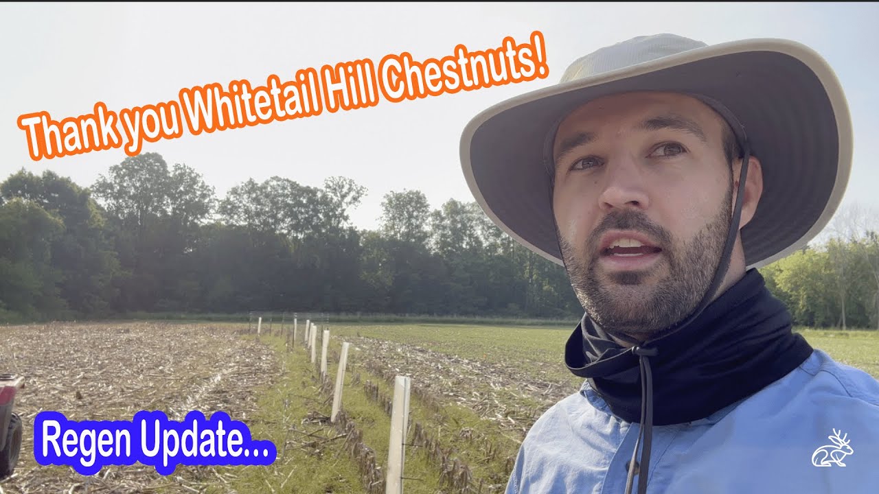 Thank You Whitetail Hill Chestnuts!  Great Service. #foodplot #deerhunting #trees