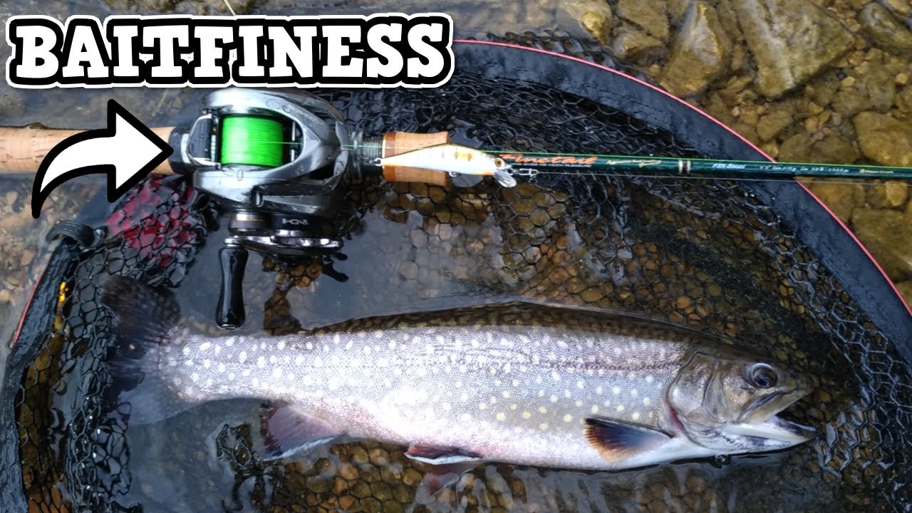 UN POISSON EXCEPTIONNEL POUR MA 1ÈRE EN BAITFINESS BFS - FINETAIL - ALDEBARAN