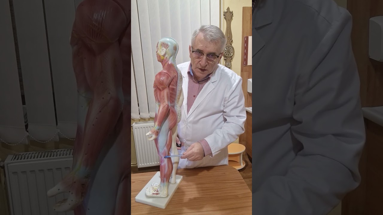Dureri de șold, genunchi și picioare. Tratamente eficiente. 