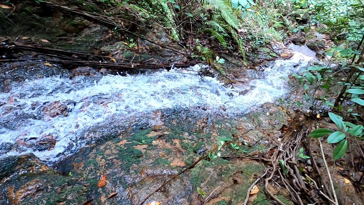 Ko Chang Красные точки Часть 3 Колючки.