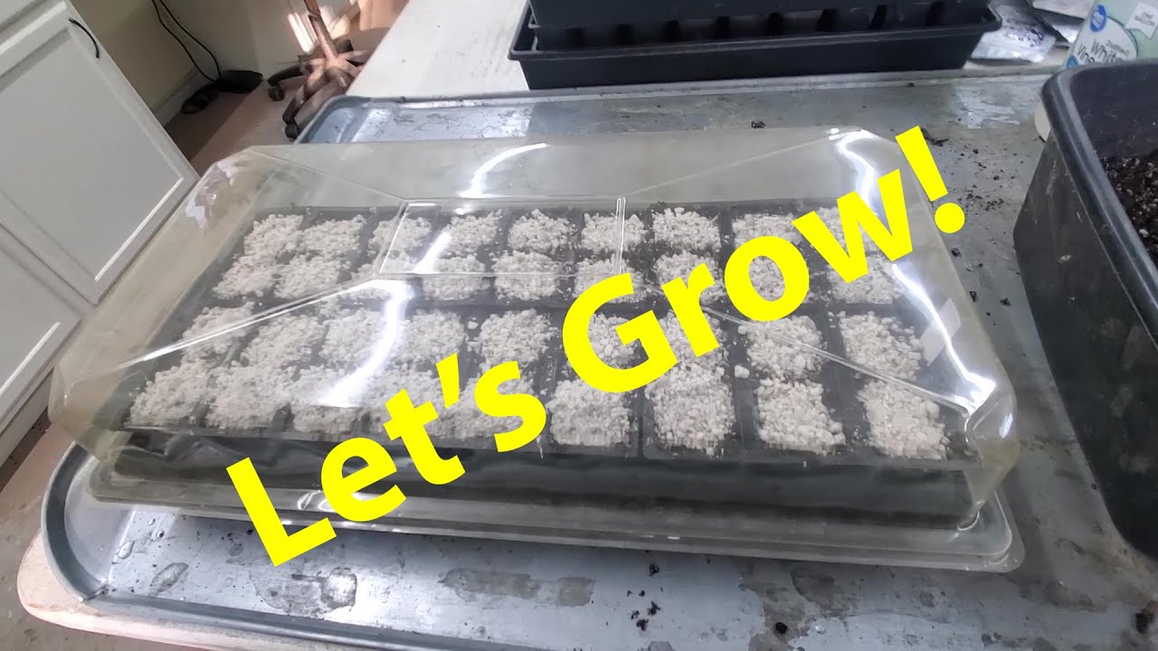 Starting Seed For Fall Planting