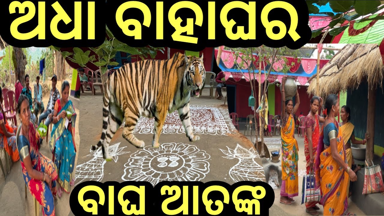 ଅଧା ବାହାଘର❓ବାଘ ଆତଙ୍କ❗#triballife #charigarhvlogs #marriagevideo #travelfoodvlog #odia #odisha #top