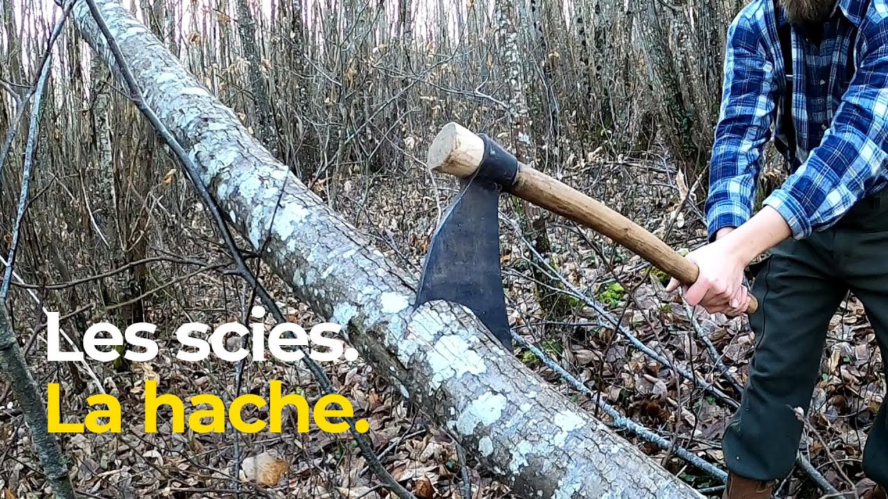 Faire son bois à la main : quel est le plus efficace ? Comparaisons de scies, démo à la hache.