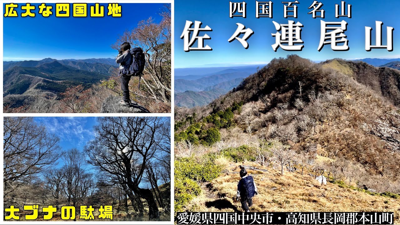 四国山地の絶景稜線【佐々連尾山】