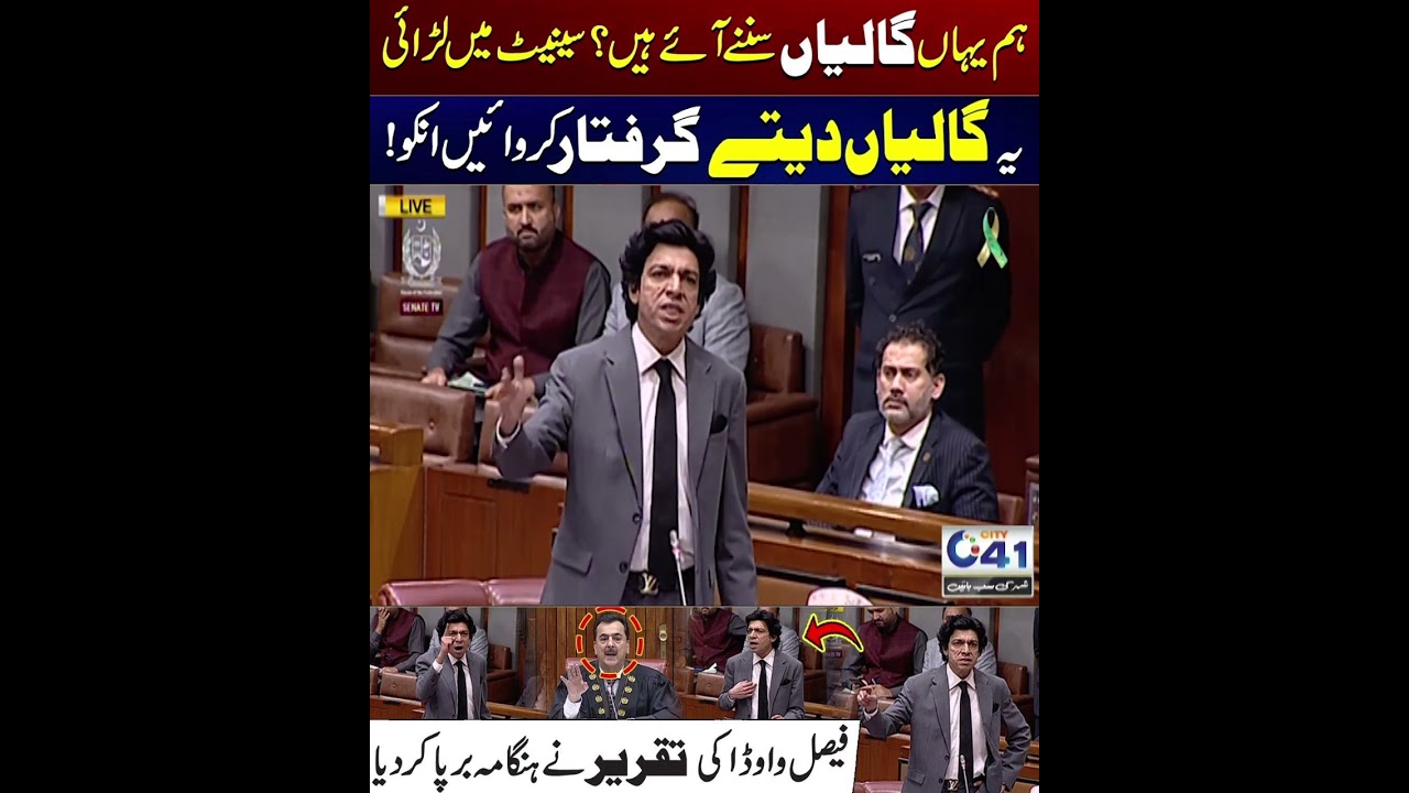 Heavy fight In Senate | Faisal Vawda Aggressive Speech in Senate Session | City 41
