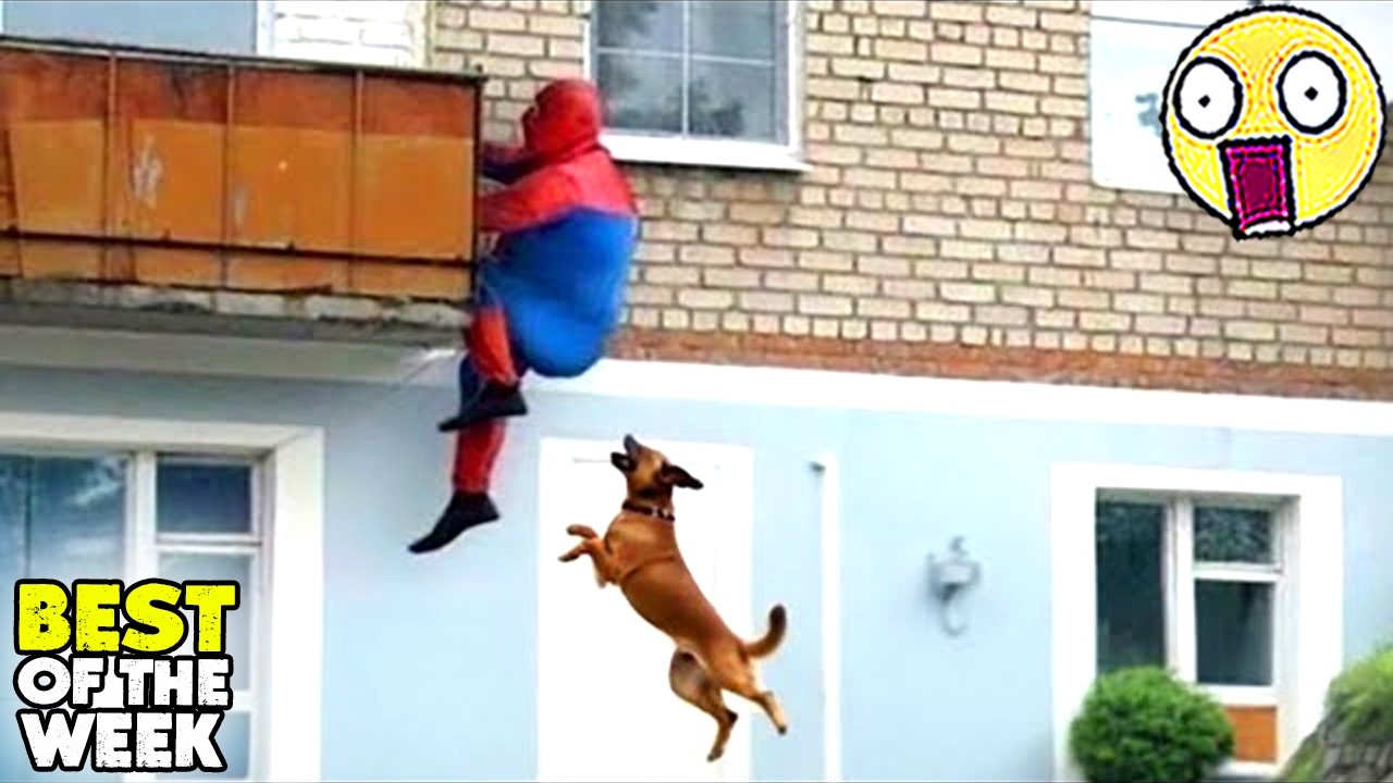 Best Fails of The Week | Funniest Fails Compilation | Funny Video | FailArmy part 30