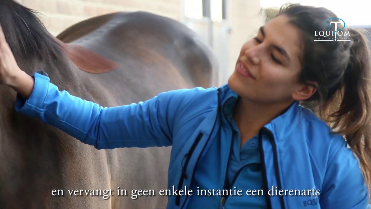 👩🏻‍⚕️HOE PLAATS JE EEN GOED verband (KOGEL) bij je PAARD 🐎?artiest Audio, titel Deltitnu final