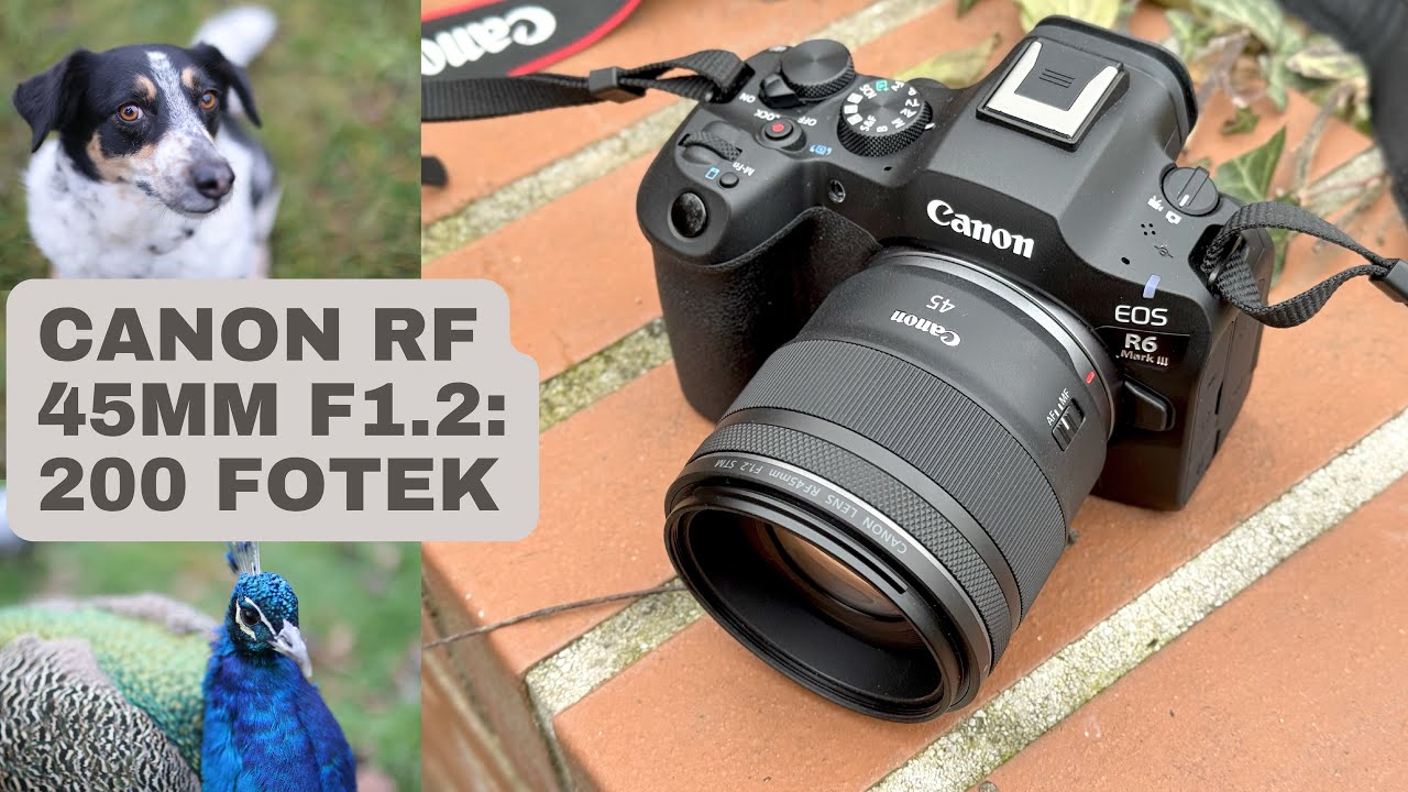 Canon RF 45mm F1.2 STM - recenze + 200 fotek z testu