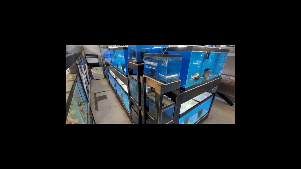 Updated tour of Beantown Aquatics
