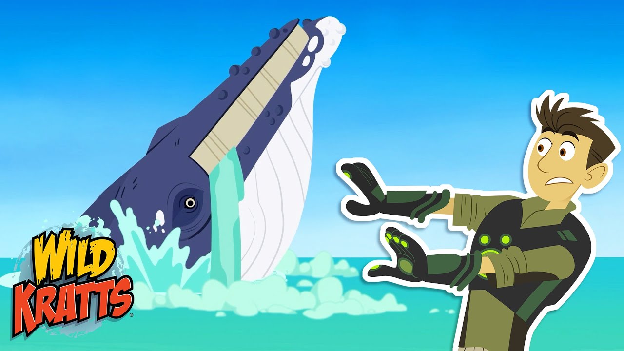 Chris Gets Eaten by a Whale! | Filter Feeders | Season 7 | Wild Kratts