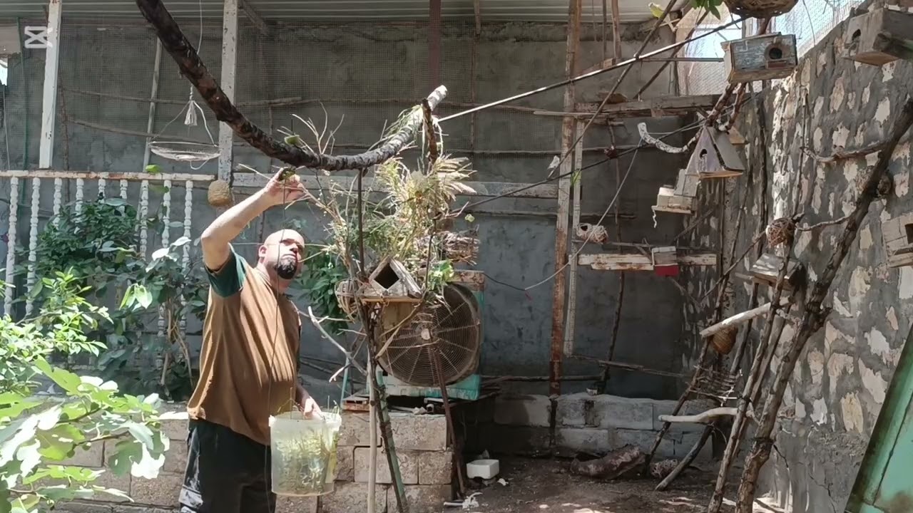 محميه الفنشات وطيور المغرده  وبذور الصحراويه