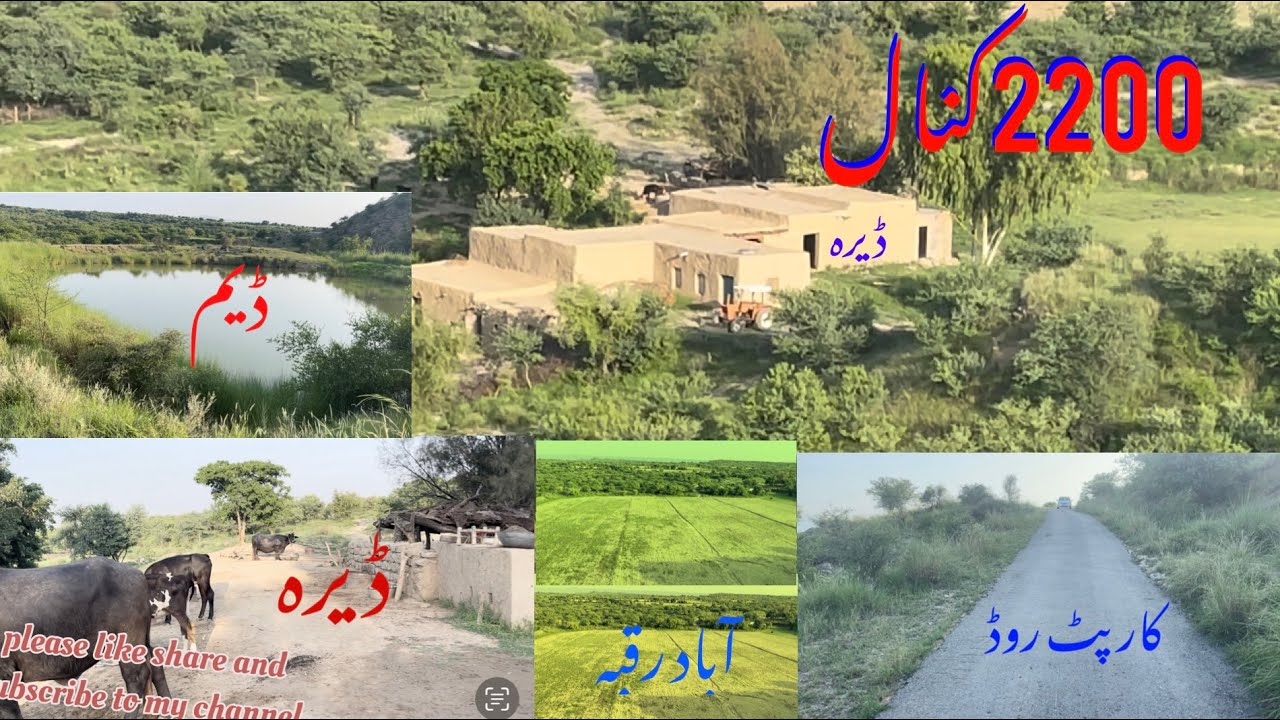 Land for sale in pakistan Agriculture land for sale in punjab land for sale in chakwal#property#2200