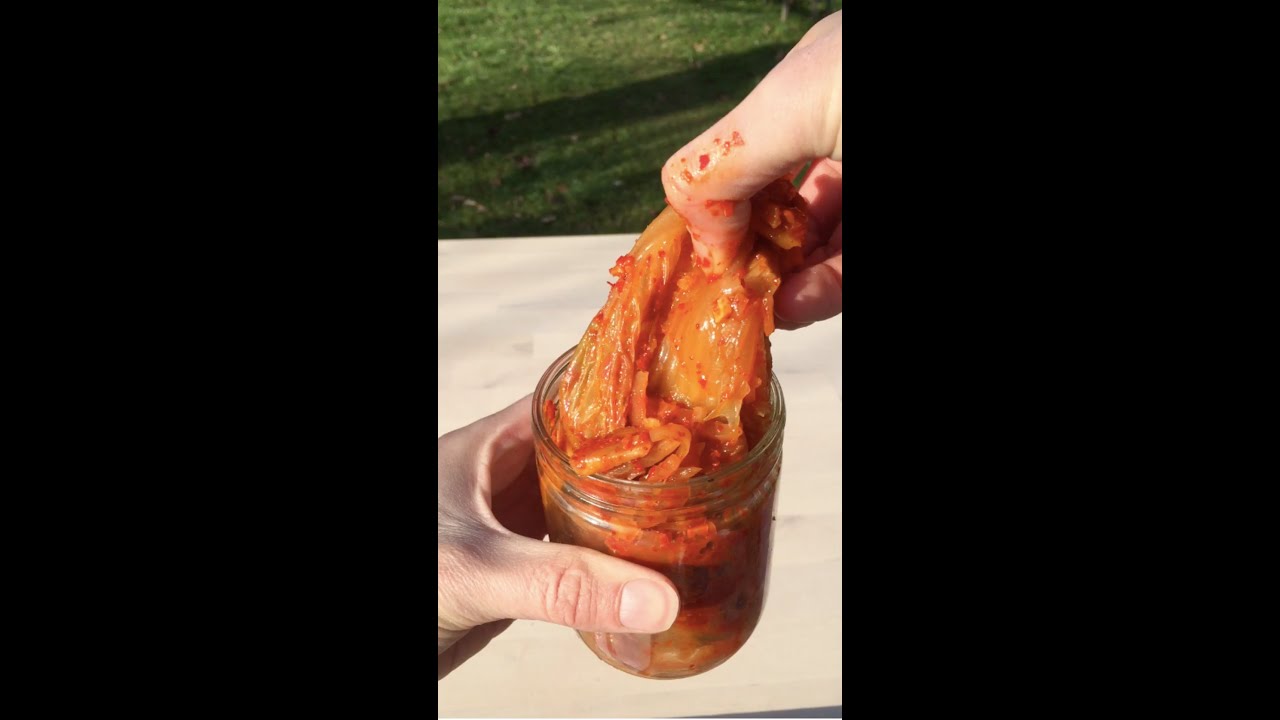 Comprendre la lacto-fermentation