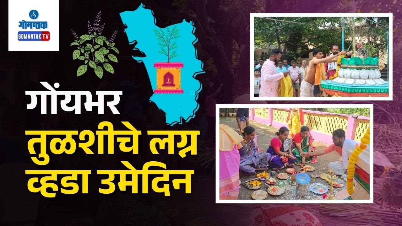 Goa Tulsi Vivah - गोंयभर तुळशीचे लग्न व्हडा उमेदिन | Gomantak TV
