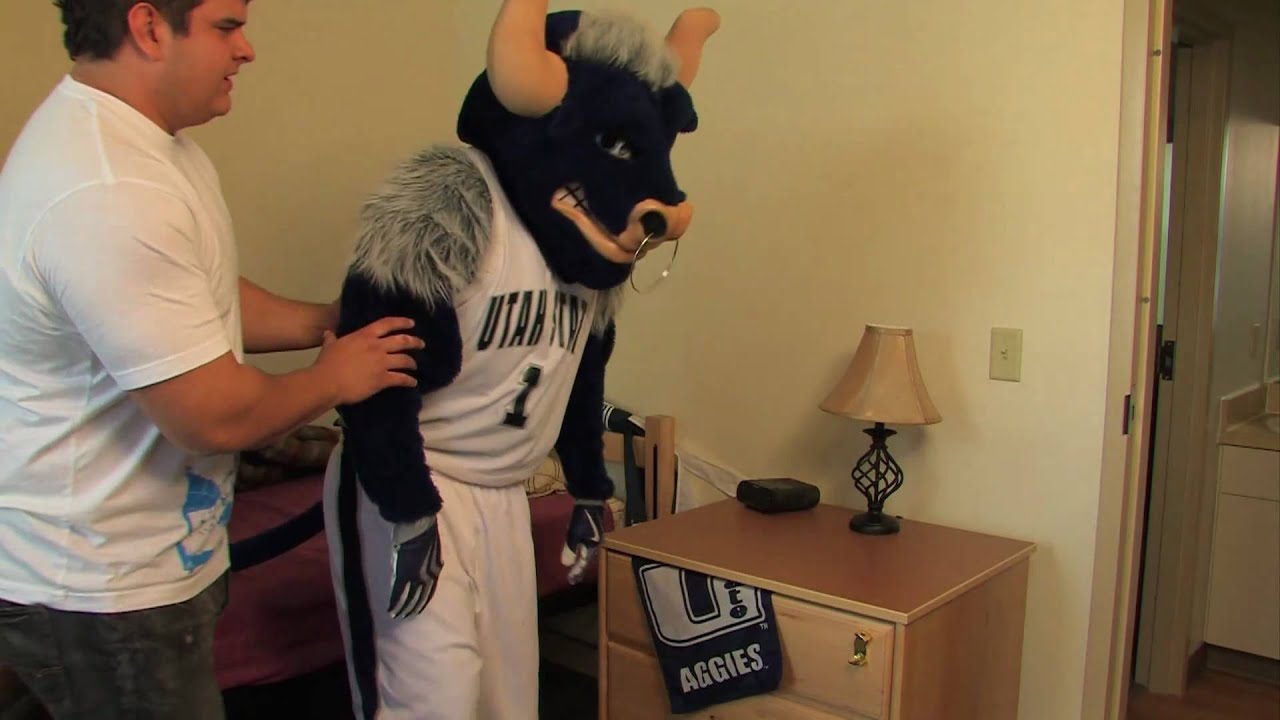 USU Wellness Center - Bullitis