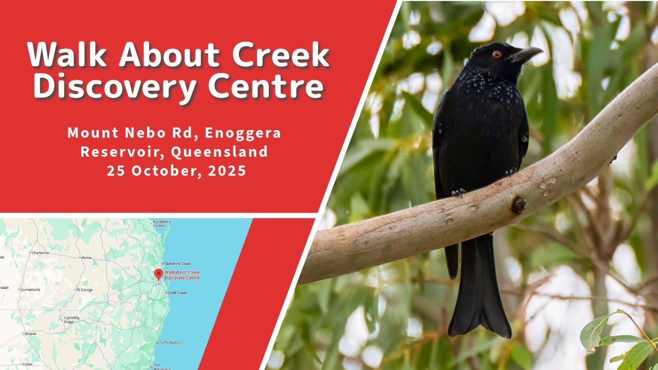 Walkabout Creek Discovery Centre