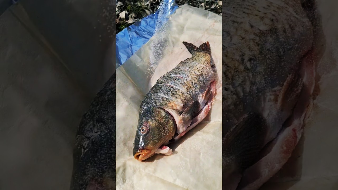 Campfire Cooking: Whole Fish Baked in Hot Coals | Wilderness Cooking