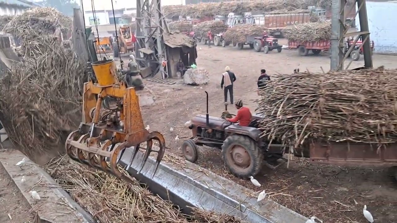 simbhaoli sugar Mil