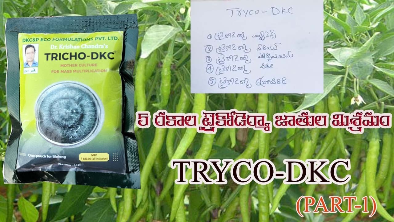 5 రకాల ట్రైకోడెర్మా జాతుల మిశ్రమం TRYCO-DKC (PART-1) || 