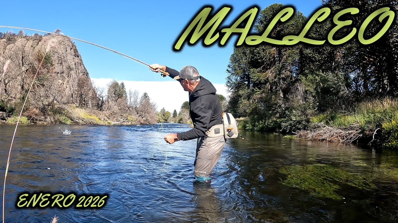 PESCA CON MOSCA EN RIO MALLEO Y CHIMEHUIN