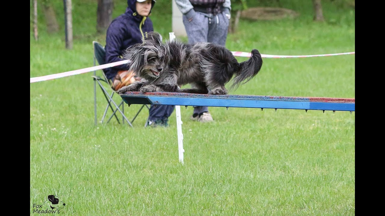 ToLeBiBu Trials 2016