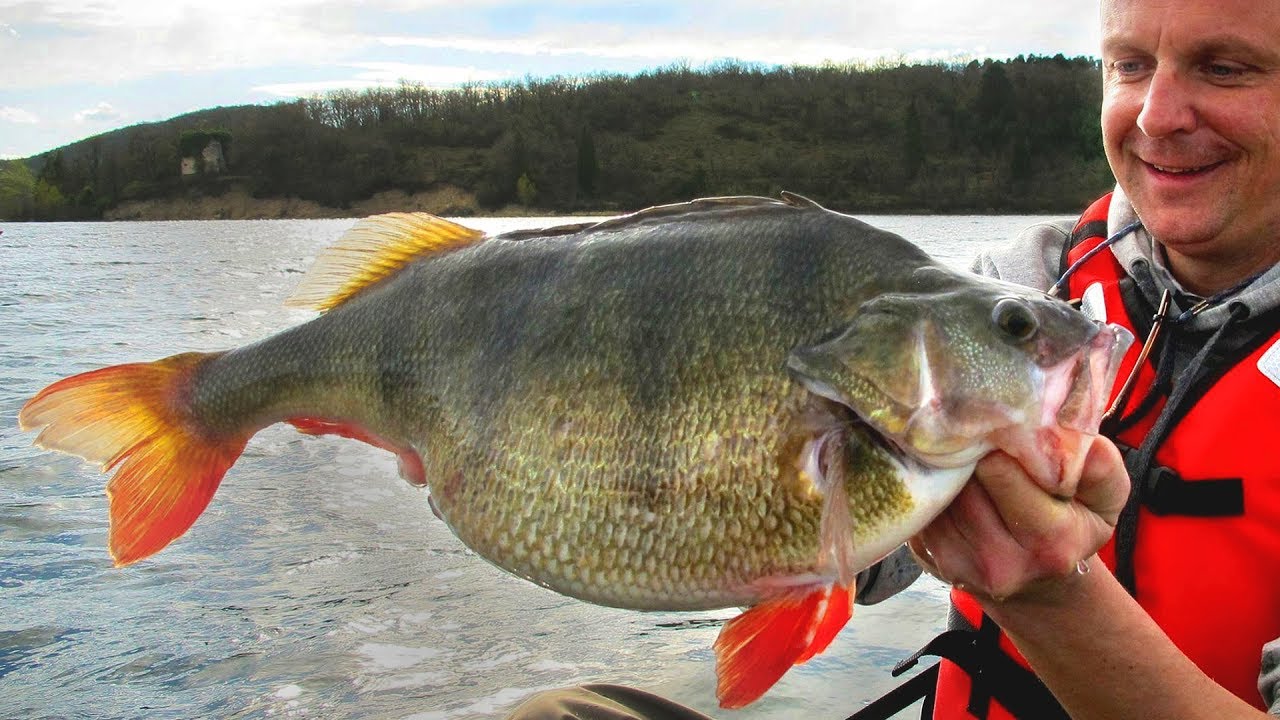Streng geheim! Die Legende vom PERCHZILLA Lake
