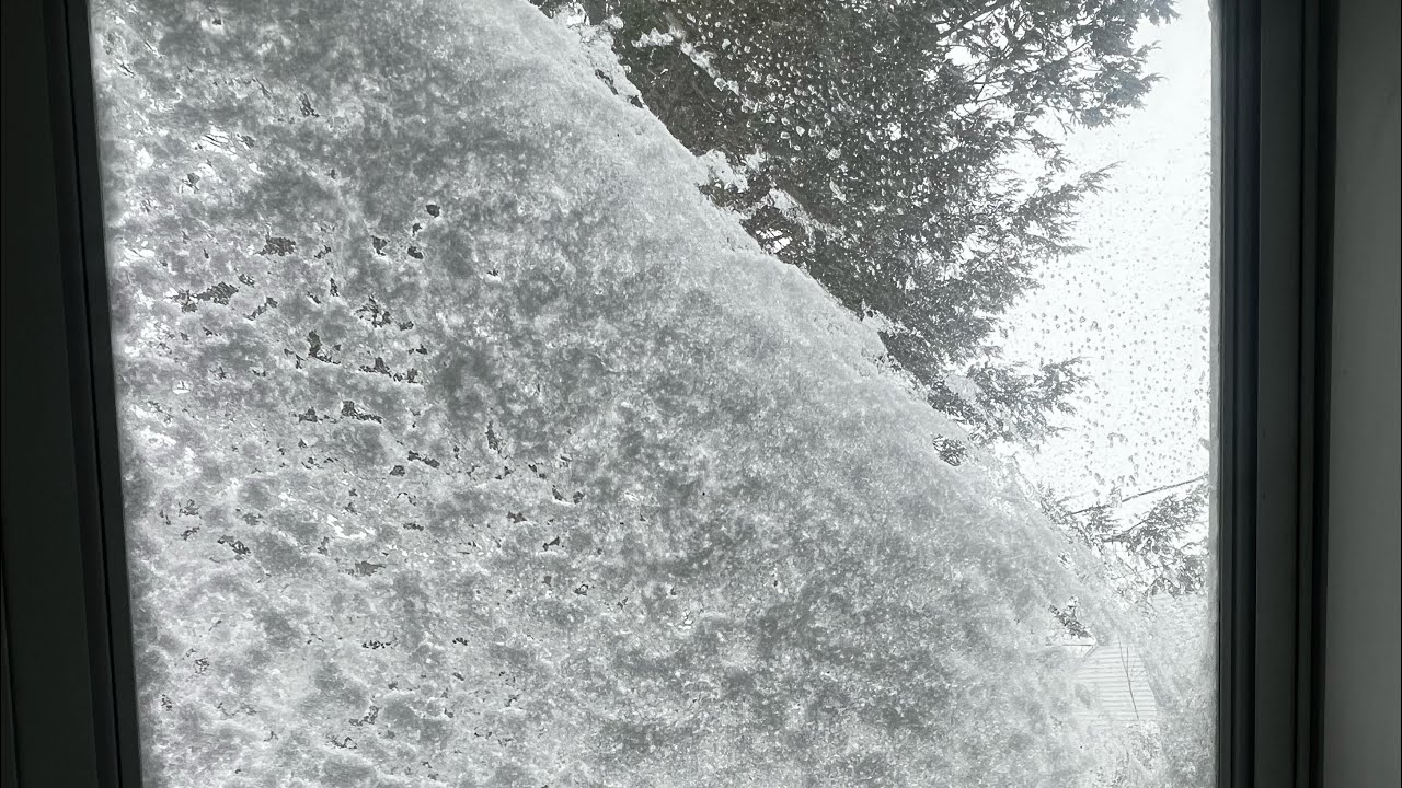 Waking up to Blizzard 2026 #blizzard #newengland #massachusetts #snowmageddon #nomore 