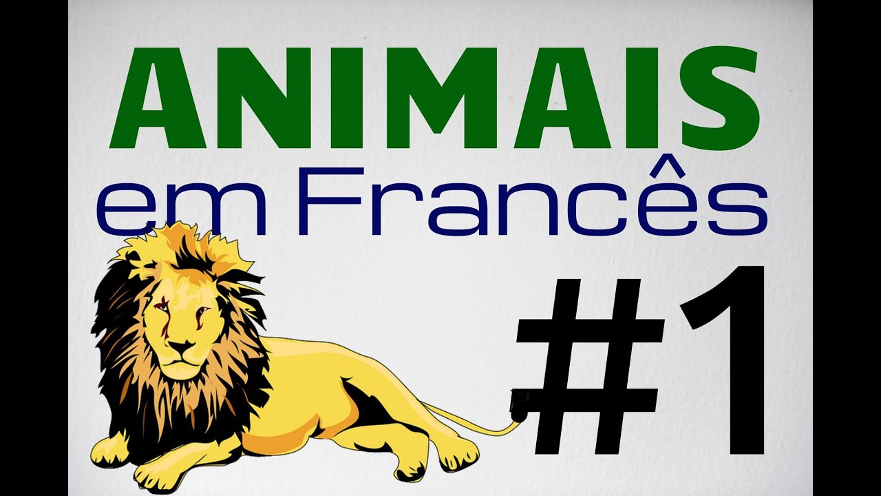 Vocabulário: Animais em francês - parte 1