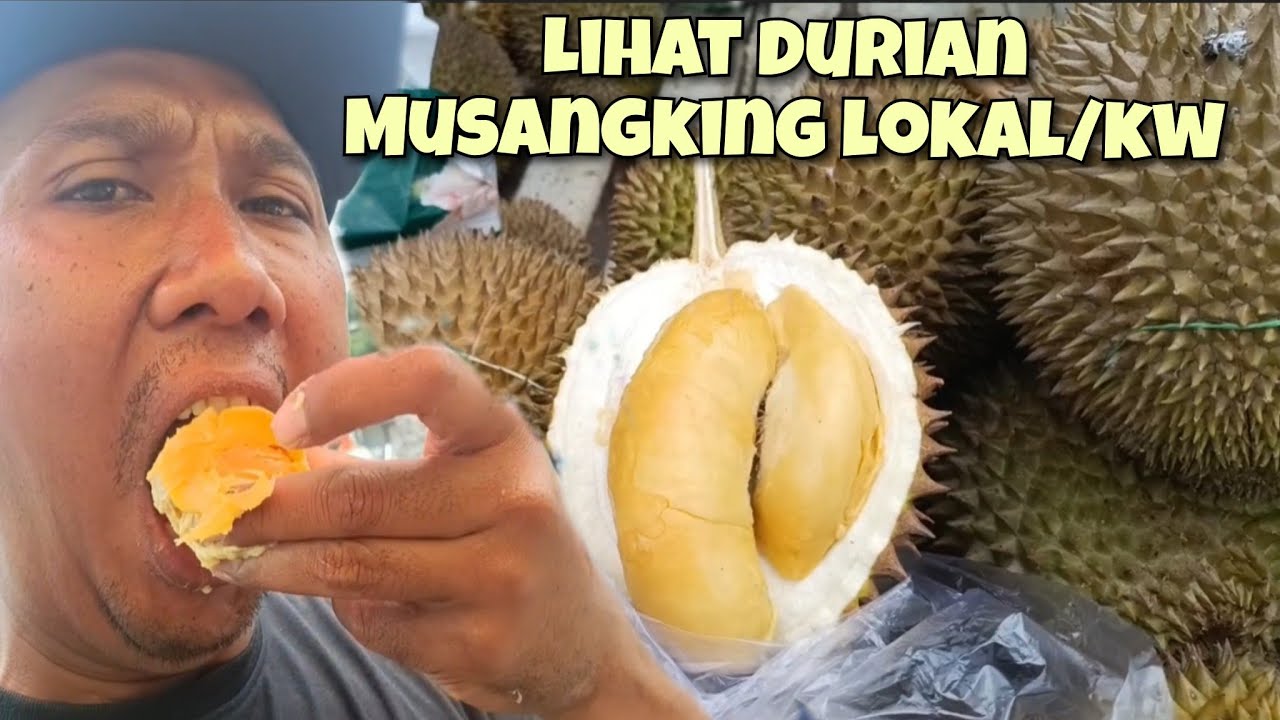 LIHAT HARGA DURIAN MUSANG KING LOKAL ATAU MUSANG KING KW DI PASAR BUAH PASREPAN