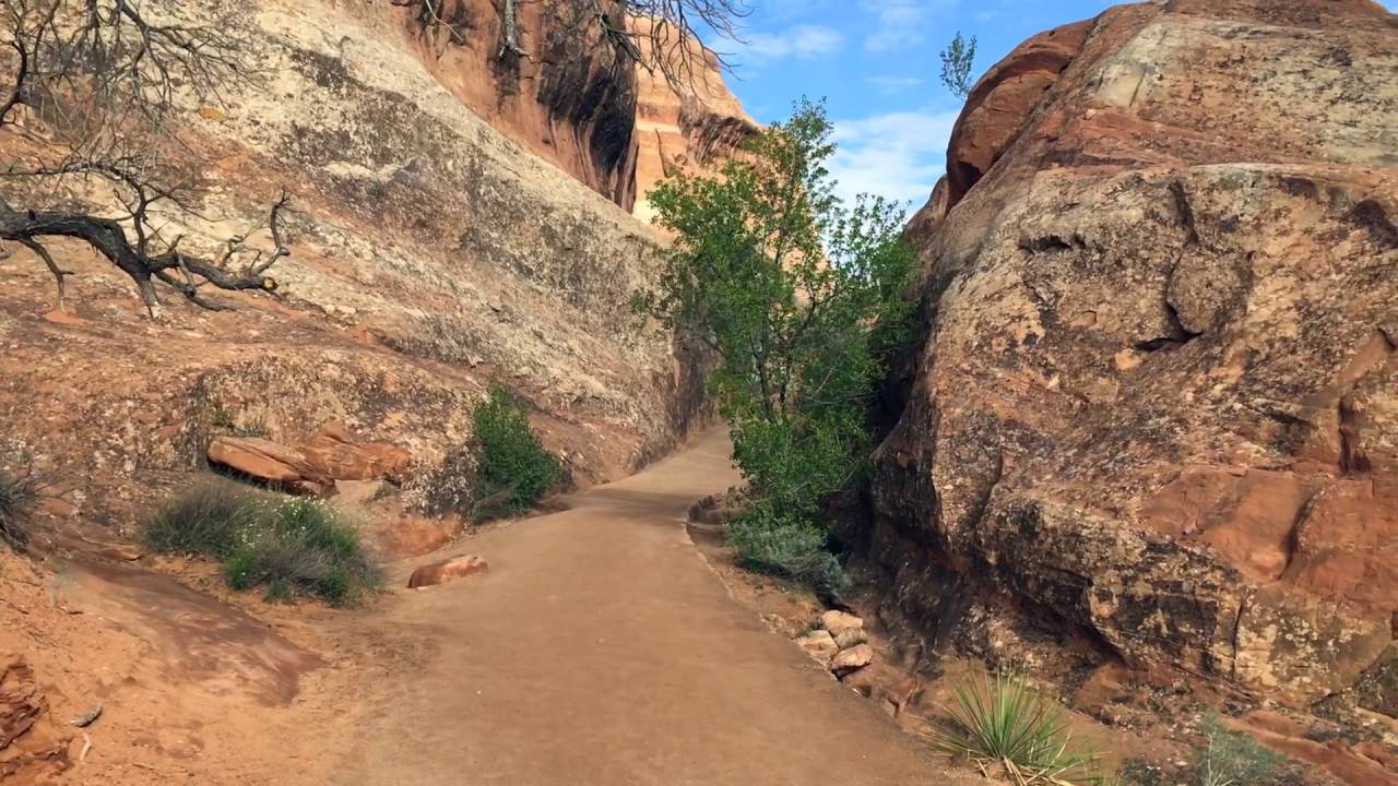 Landscape Arch trail, Arches National Park
