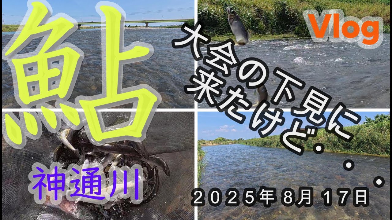 【神通川】大会の下見に来たけど・・・　２０２５．０８．１７