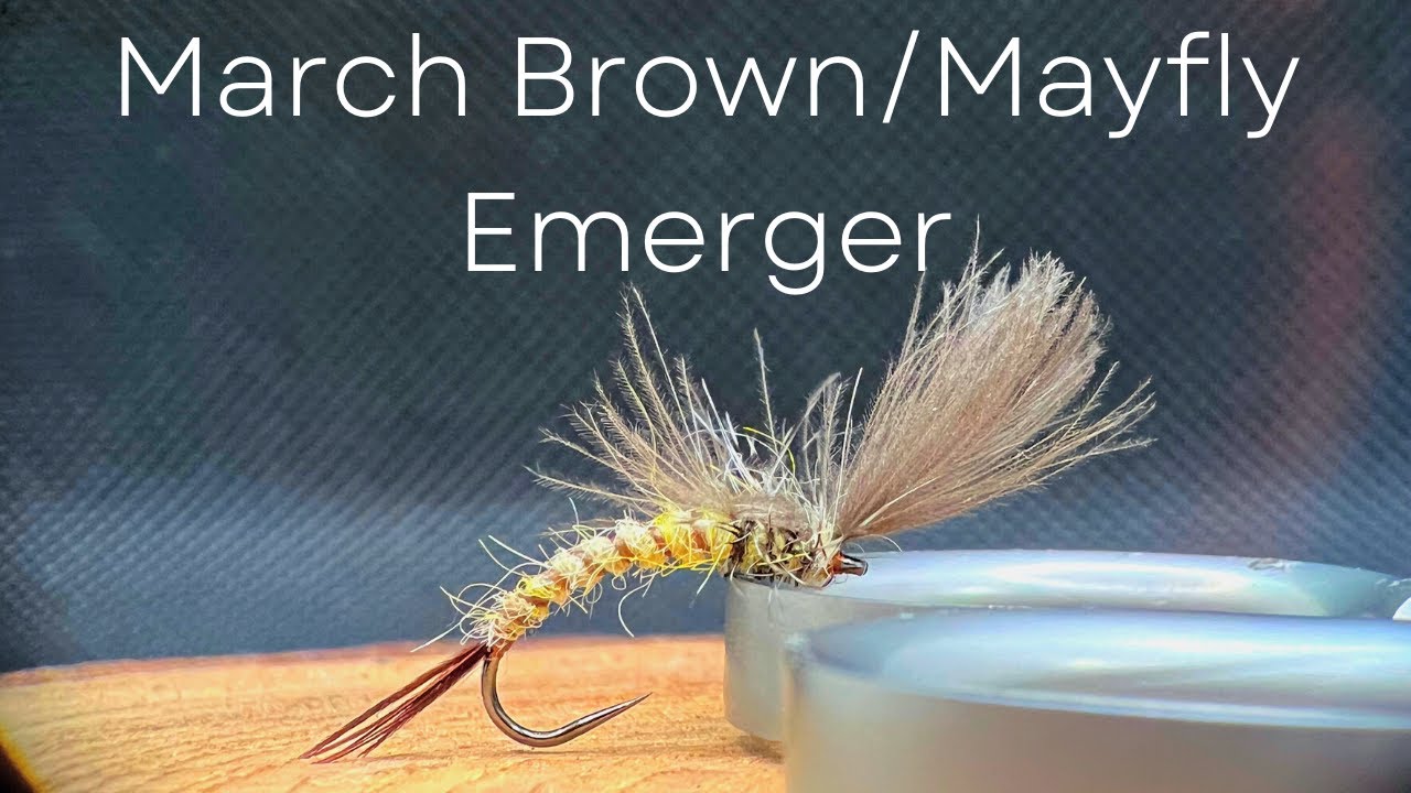Trout & Grayling Fly Tying Tutorial - March Brown/Mayfly Emerger
