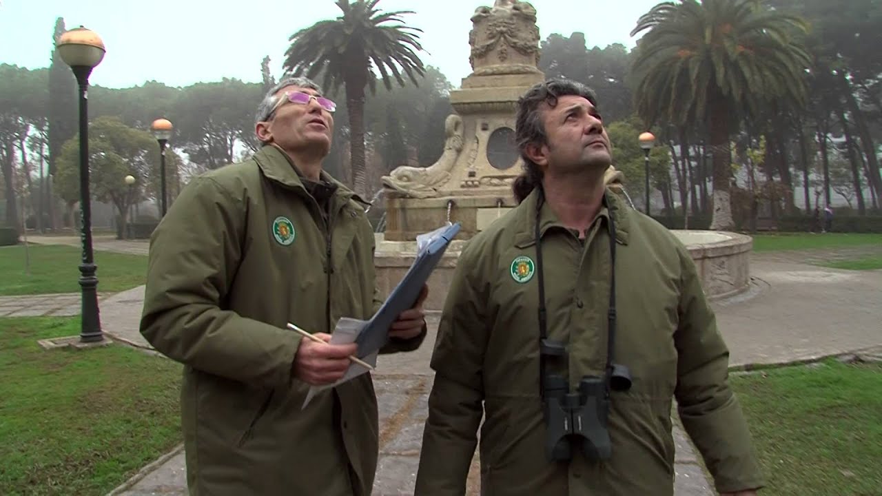 El control de la cotorra argentina