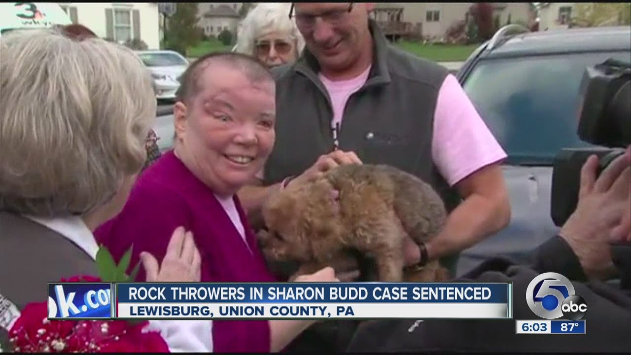 Rock-throwing that injured teacher Sharon Budd results in jail sentences